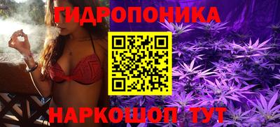 мдма Заводоуковск