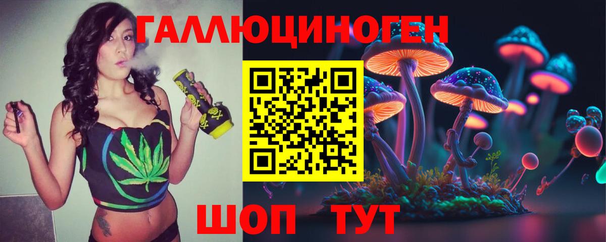 Псилоцибиновые грибы GOLDEN TEACHER Гусь-Хрустальный