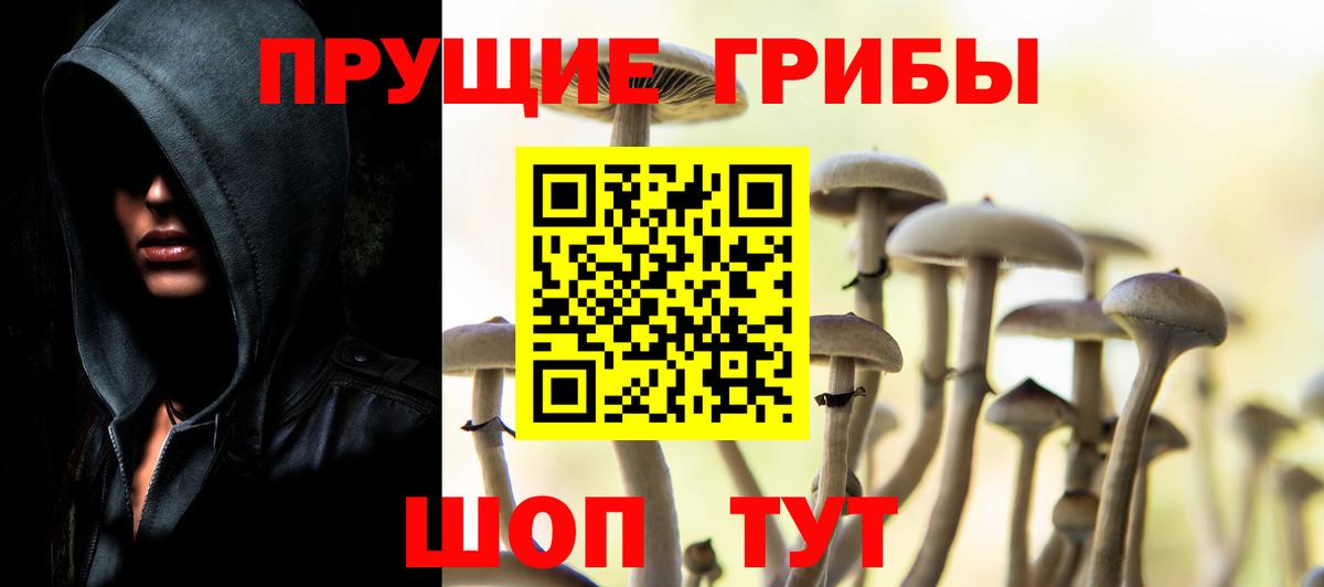 Псилоцибиновые грибы мицелий  Вход с VPN  Гусь-Хрустальный 